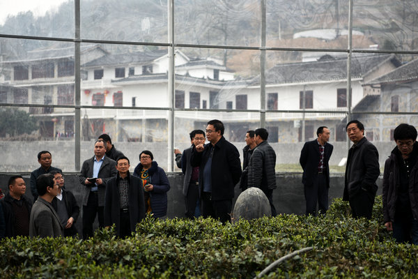 1598430854672.jpg 3.jpg