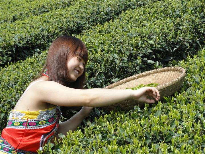 1598492232430.jpg 4.jpg