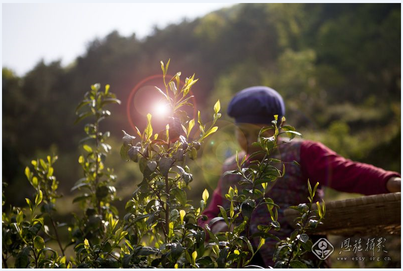 1598844618471.png 图片1.png