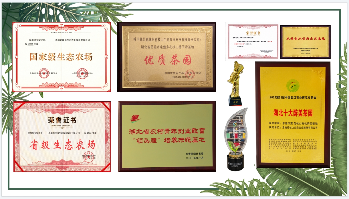 1725417287268.png 1725417287268.png